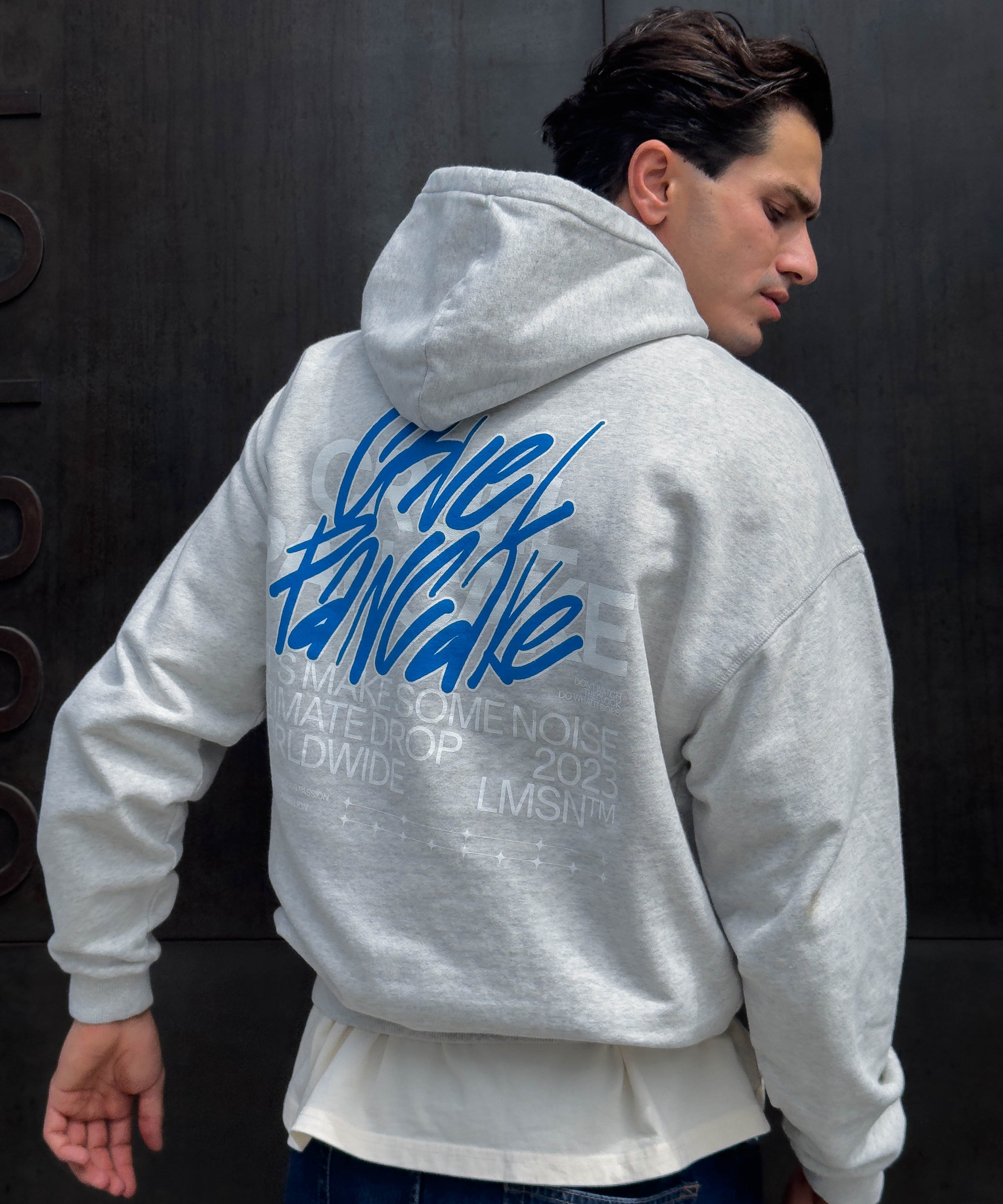 Hoodie Gris LMSN