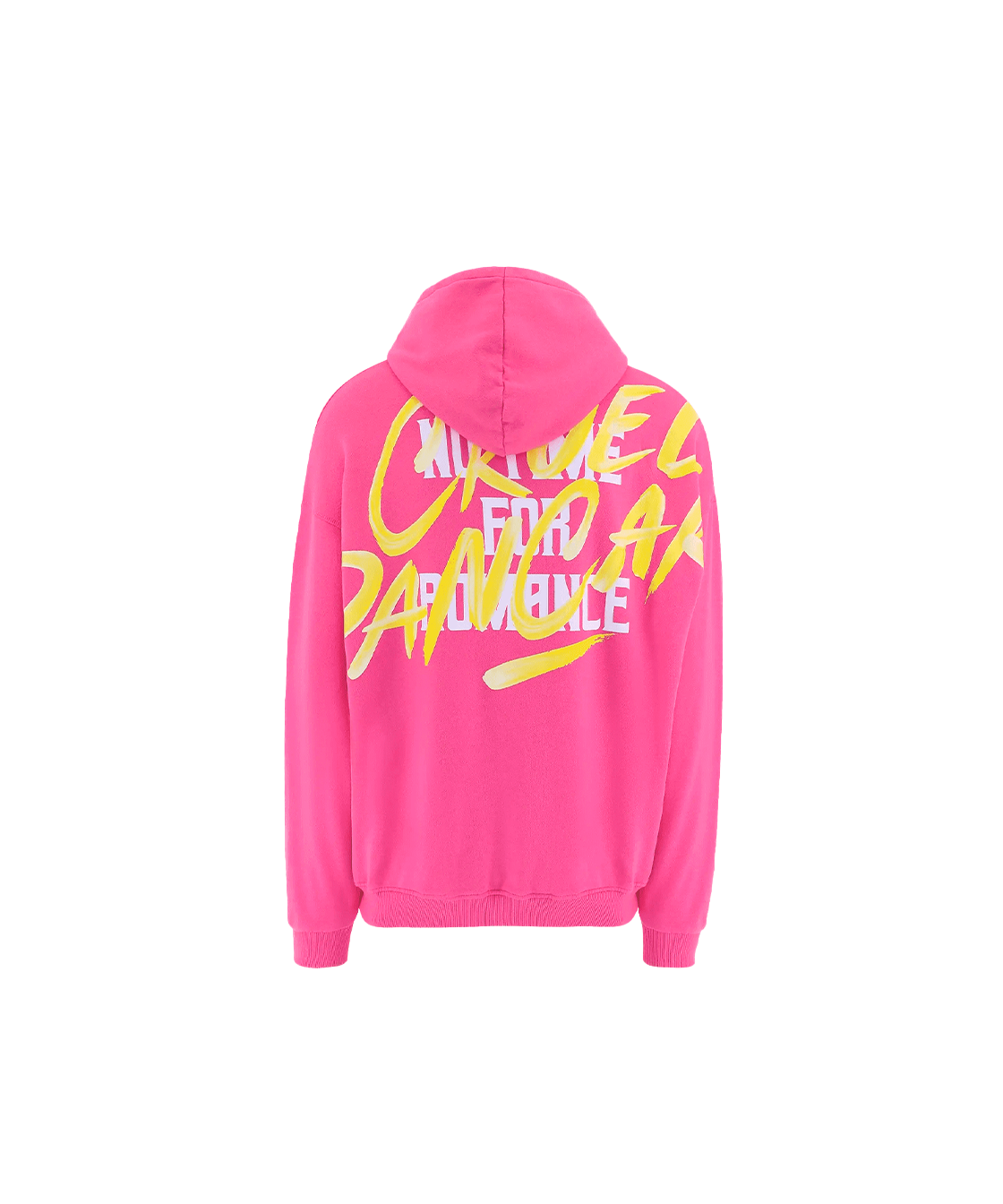 NTR hoodie